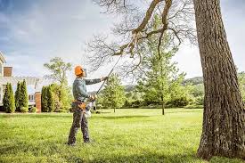 Best Tree Trimming and Pruning  in Vernon Center, NJ